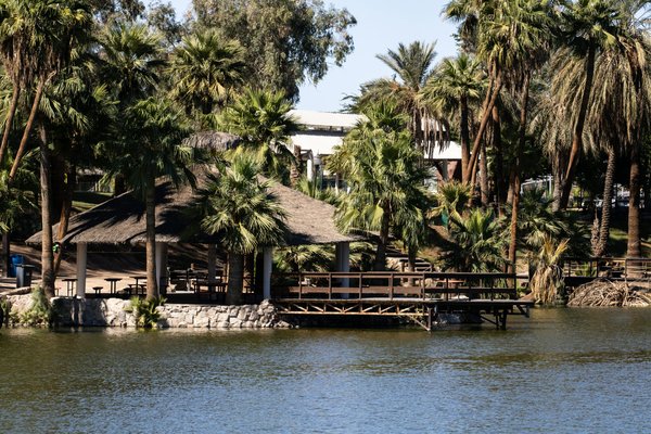 Évasion nature : explorez Punta Cana et ses merveilles naturelles